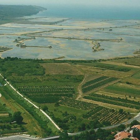 Апартаменти Apartmaji In Vinogradnistvo Klobas Сечовлє Екстер'єр фото