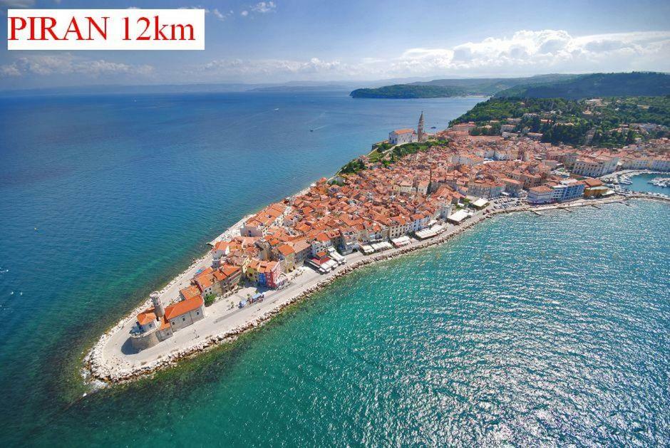 Апартаменти Apartmaji In Vinogradnistvo Klobas Сечовлє Екстер'єр фото